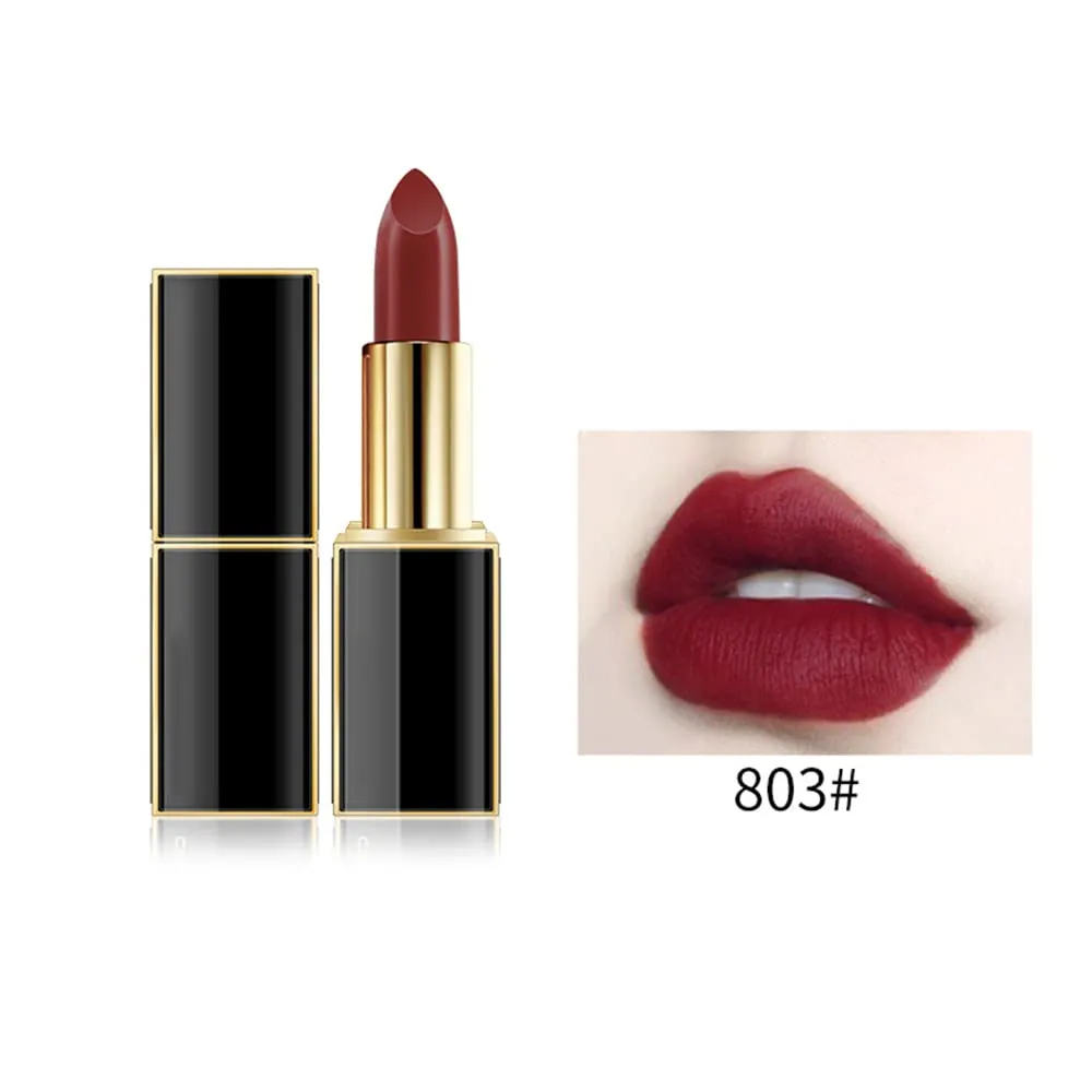 10 Colos Matte Liquid Lipstick, Ladies Matte Liquid Lipstick Long Lasting Waterproof Velvet Red Lipstick Lip Gloss Set Pigmented Lip Makeup for Girls and Women Gift (803#)