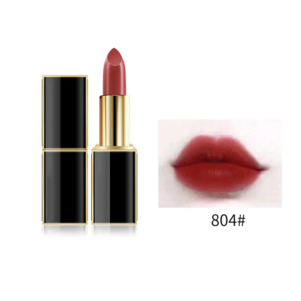 10 Colos Matte Liquid Lipstick, Ladies Matte Liquid Lipstick Long Lasting Waterproof Velvet Red Lipstick Lip Gloss Set Pigmented Lip Makeup for Girls and Women Gift (804#)