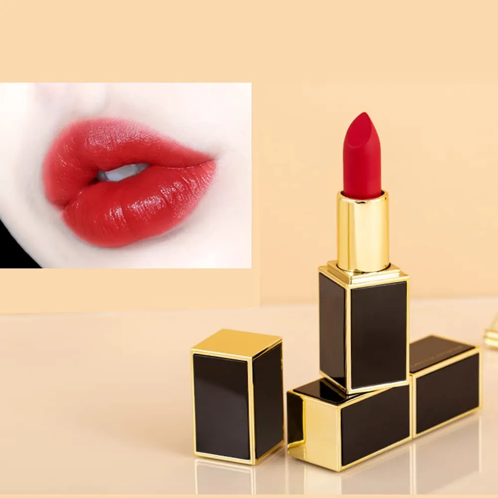 10 Colos Matte Liquid Lipstick, Ladies Matte Liquid Lipstick Long Lasting Waterproof Velvet Red Lipstick Lip Gloss Set Pigmented Lip Makeup for Girls and Women Gift (804#)