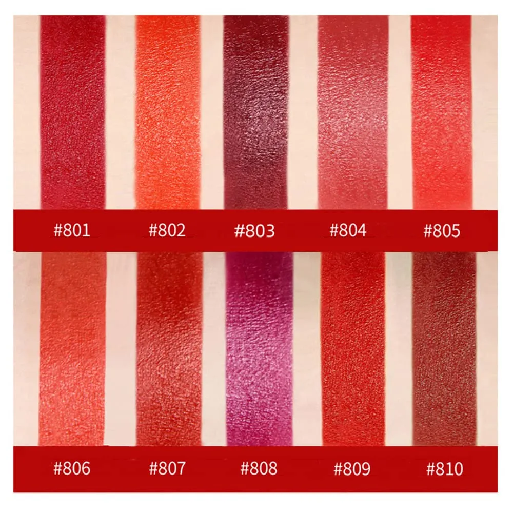 10 Colos Matte Liquid Lipstick, Ladies Matte Liquid Lipstick Long Lasting Waterproof Velvet Red Lipstick Lip Gloss Set Pigmented Lip Makeup for Girls and Women Gift (804#)