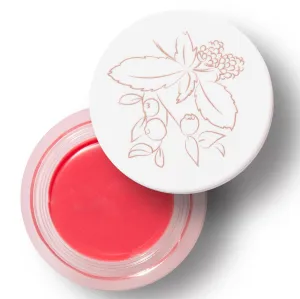 100% PURE Lip & Cheek Tint (Fruit Pigmented), Pink Grapefruit, Long Lasting Lip and Blush Stick, Natural Makeup, Lip Tint, Cream Blush - 0.26 Oz