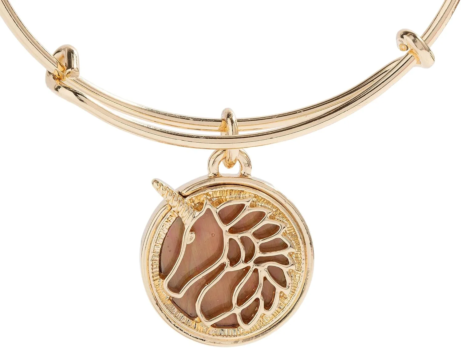 Alex and Ani AA963824TT:EWB