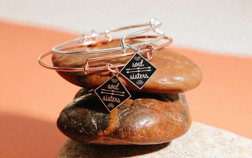 Alex and Ani Color Infusion Soul Sisters Bangle Bracelet