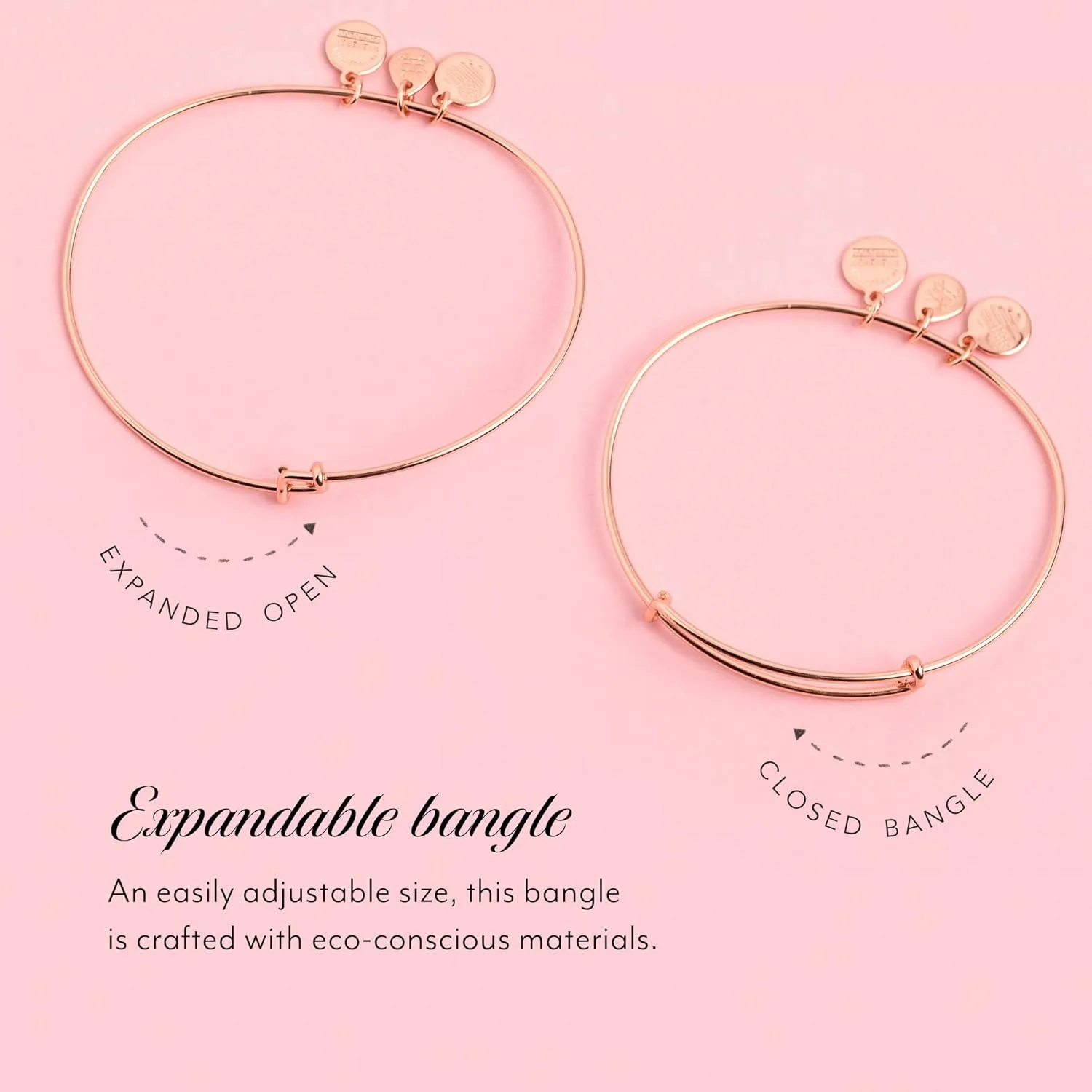 Alex and Ani Color Infusion Soul Sisters Bangle Bracelet