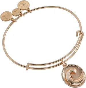 Alex and Ani Roll With the Tides Charm Bangle