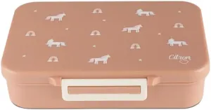 Citron- Tritan Lunch Box With 4 Compartments for Kids - Includes 1 Sauce Container | Leak-Proof and BPA Free Lunch Box for Kids- Unicorn-Blush Pink