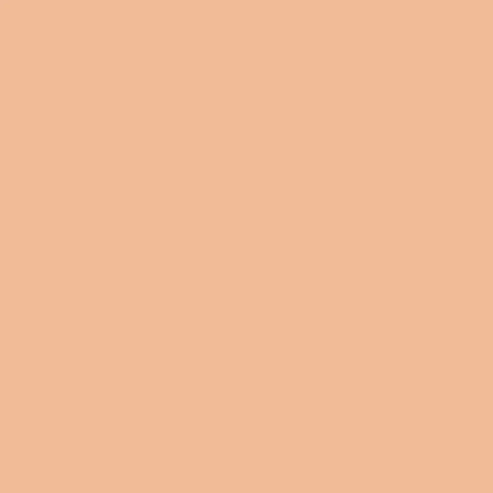Concealer (Shade 2 of 6) Dark Circle Under Eye Cream Corrector, Multi-Use, Pimples, Scars, Rashes