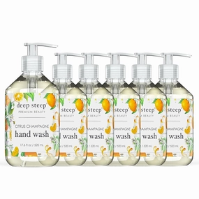 Deep Steep Liquid Hand Wash 17.6oz (Pack of 6) (Citrus Champagne)