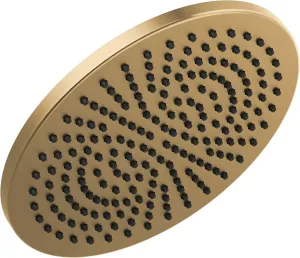 Delta 52158-CZ25 Universal Showering Shower Head, Shower Head Only, Champagne Bronze