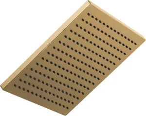 Delta 52159-CZ-PR25 Single-Setting Metal Raincan Head, Without Shower Arm, Champagne Bronze