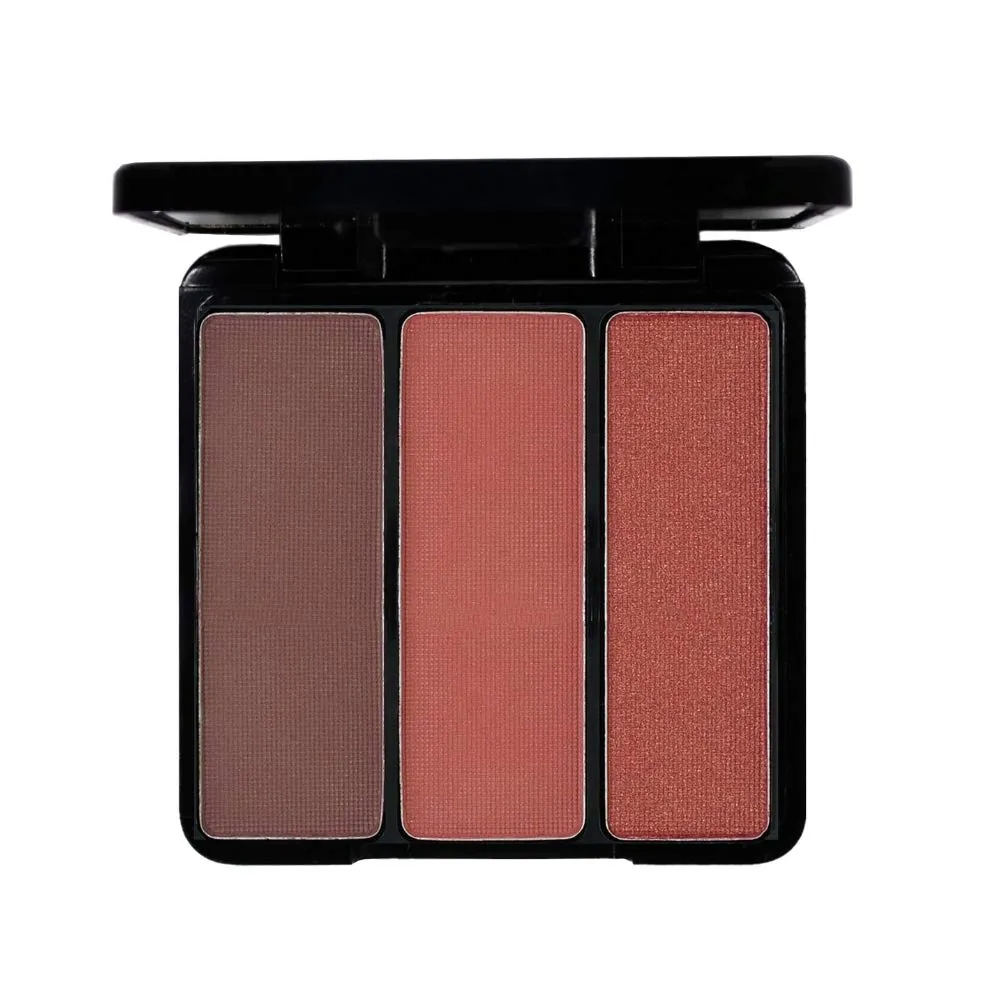 EVE PEARL 5 Pcs Set of Full Coverage Face, Cheek And Lip Collection Skin Care Makeup Complete Set of Foundation Blush Lipstick with Professional Brushes (Deep)