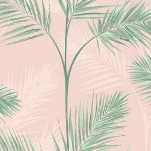 Fine Decor South Beach Blush Fronds Wallpaper