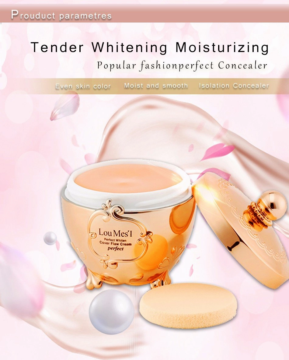 Foundation Base make up Cream Concealer On Sale