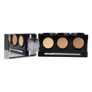 Full Coverage Concealer Palette, Waterproof Concealer Cream, 3 Colors   Brush, by Dermaflage