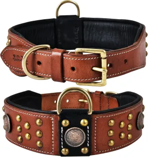 Genuine Leather ‘Cupola’ Series Dog Collar | Celtic Conchos & Gold Dome Rivets | Soft, Cushion Padding, Handmade | Best for Medium, Large, XL Breeds (XL (Neck Size 22.5"-25.5"), Sienna Brown)