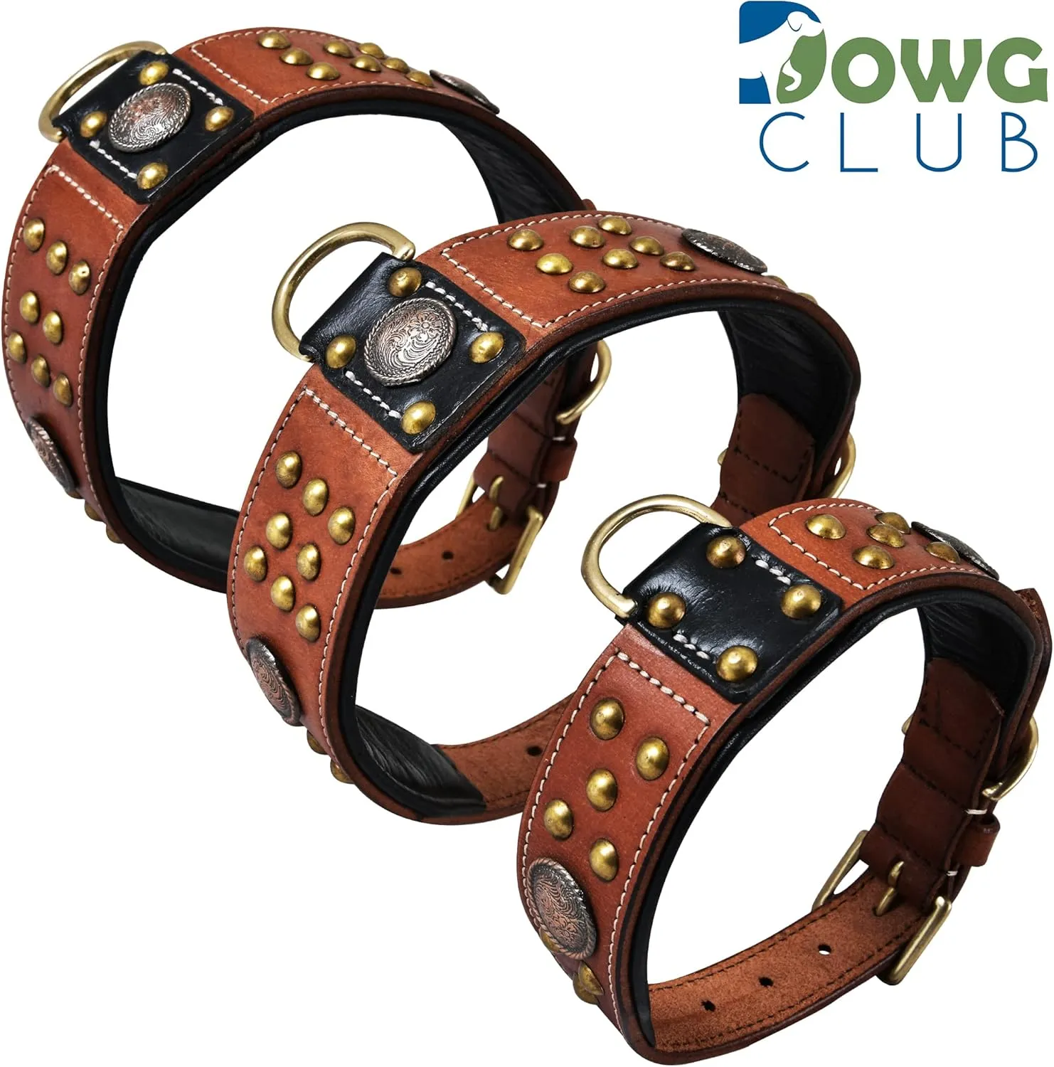 Genuine Leather ‘Cupola’ Series Dog Collar | Celtic Conchos & Gold Dome Rivets | Soft, Cushion Padding, Handmade | Best for Medium, Large, XL Breeds (XL (Neck Size 22.5"-25.5"), Sienna Brown)