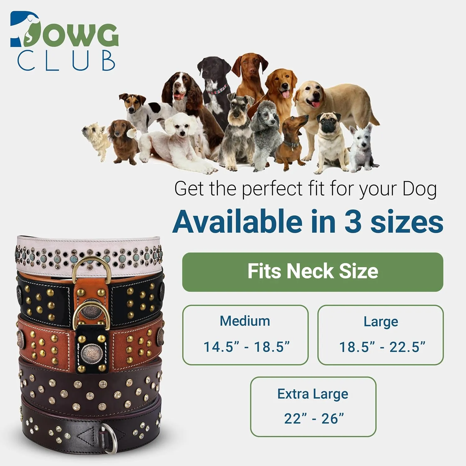 Genuine Leather ‘Cupola’ Series Dog Collar | Celtic Conchos & Gold Dome Rivets | Soft, Cushion Padding, Handmade | Best for Medium, Large, XL Breeds (XL (Neck Size 22.5"-25.5"), Sienna Brown)