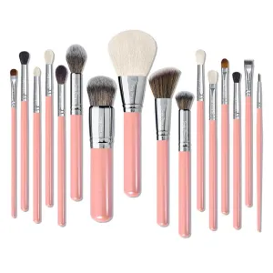 Makeup Brushes Set 16 pcs, Premium Natural Hair Blending, Blush Powder Makeup, Pink Makeup Brush Set, Deluxe Brush Set
