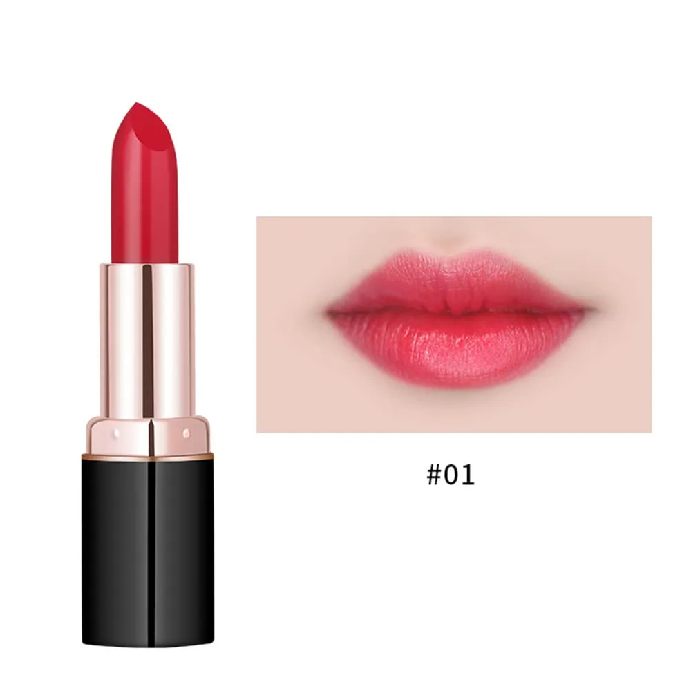 Matte Lipstick, 11 Colos Ladies Matte Lipstick Long Lasting Waterproof Velvet Red Lipstick Lip Gloss Set Pigmented Lip Makeup for Girls and Women Gift (01#)