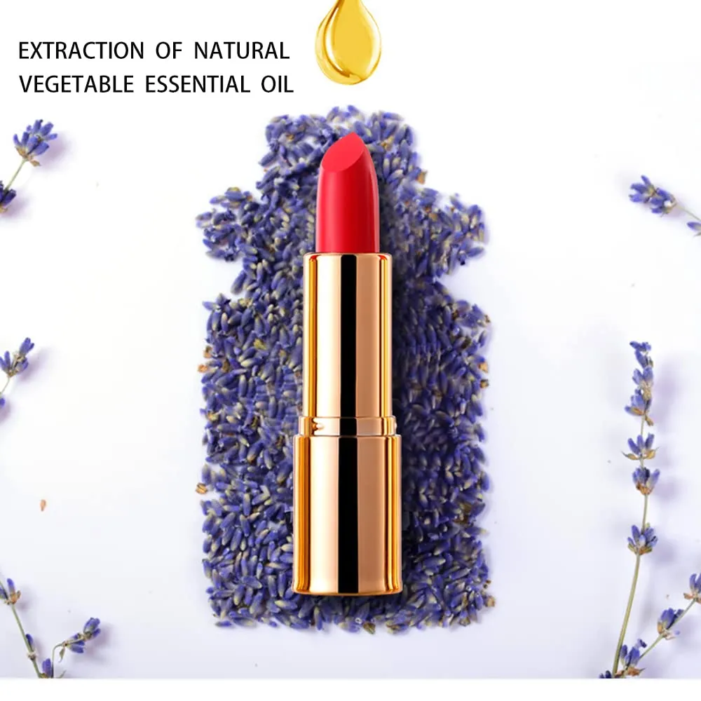 Matte Lipstick, 6 Colos Ladies Matte Lipstick Long Lasting Waterproof Velvet Red Lipstick Lip Gloss Set Pigmented Lip Makeup for Girls and Women Gift (02#)
