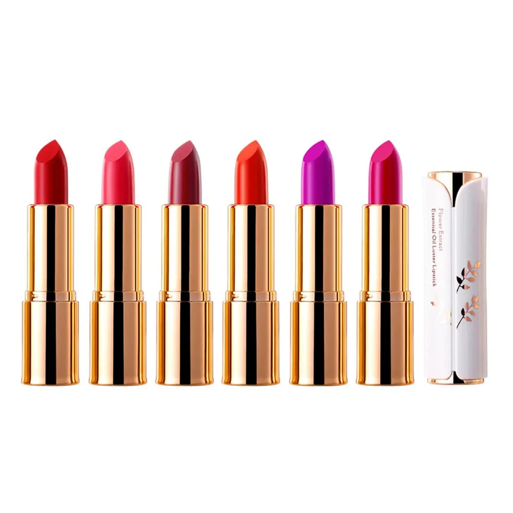 Matte Lipstick, 6 Colos Ladies Matte Lipstick Long Lasting Waterproof Velvet Red Lipstick Lip Gloss Set Pigmented Lip Makeup for Girls and Women Gift (02#)