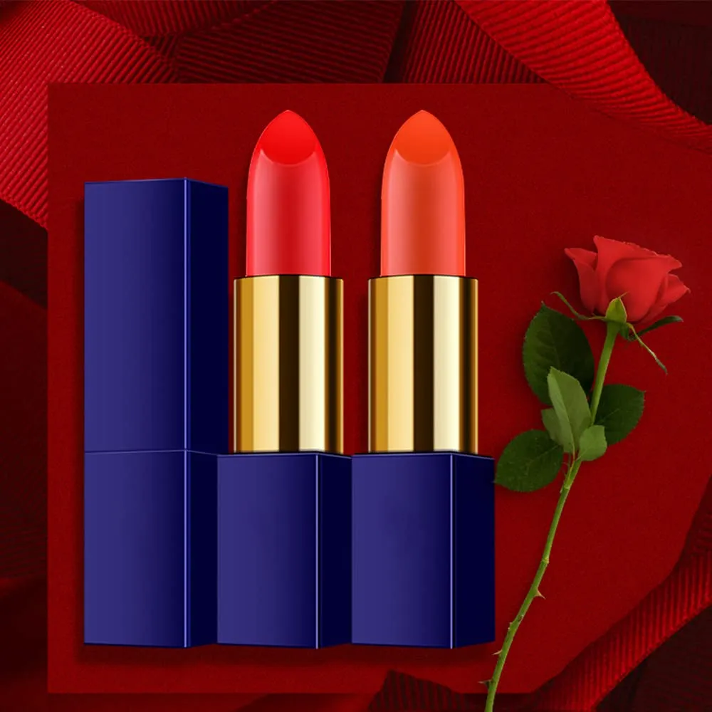 Matte Liquid Lipstick, 10 Colos Ladies Matte Liquid Lipstick Long Lasting Waterproof Velvet Lip Gloss Set Pigmented Lip Makeup Gift for Girls and Women (FM09)