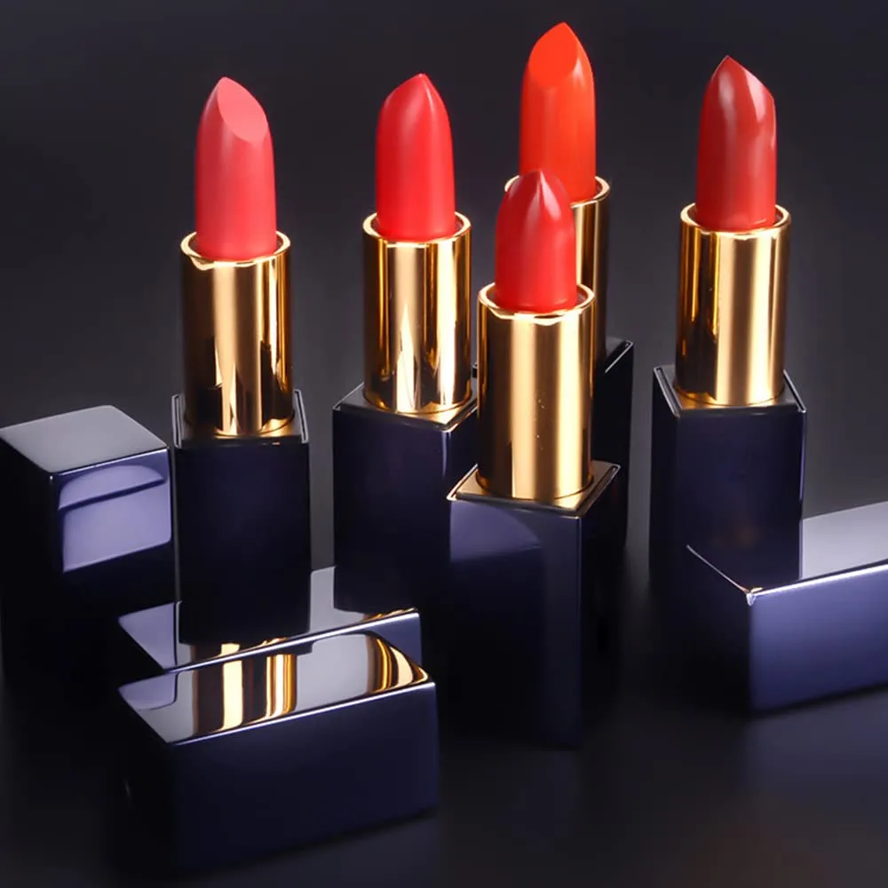Matte Liquid Lipstick, 10 Colos Ladies Matte Liquid Lipstick Long Lasting Waterproof Velvet Lip Gloss Set Pigmented Lip Makeup Gift for Girls and Women (FM09)