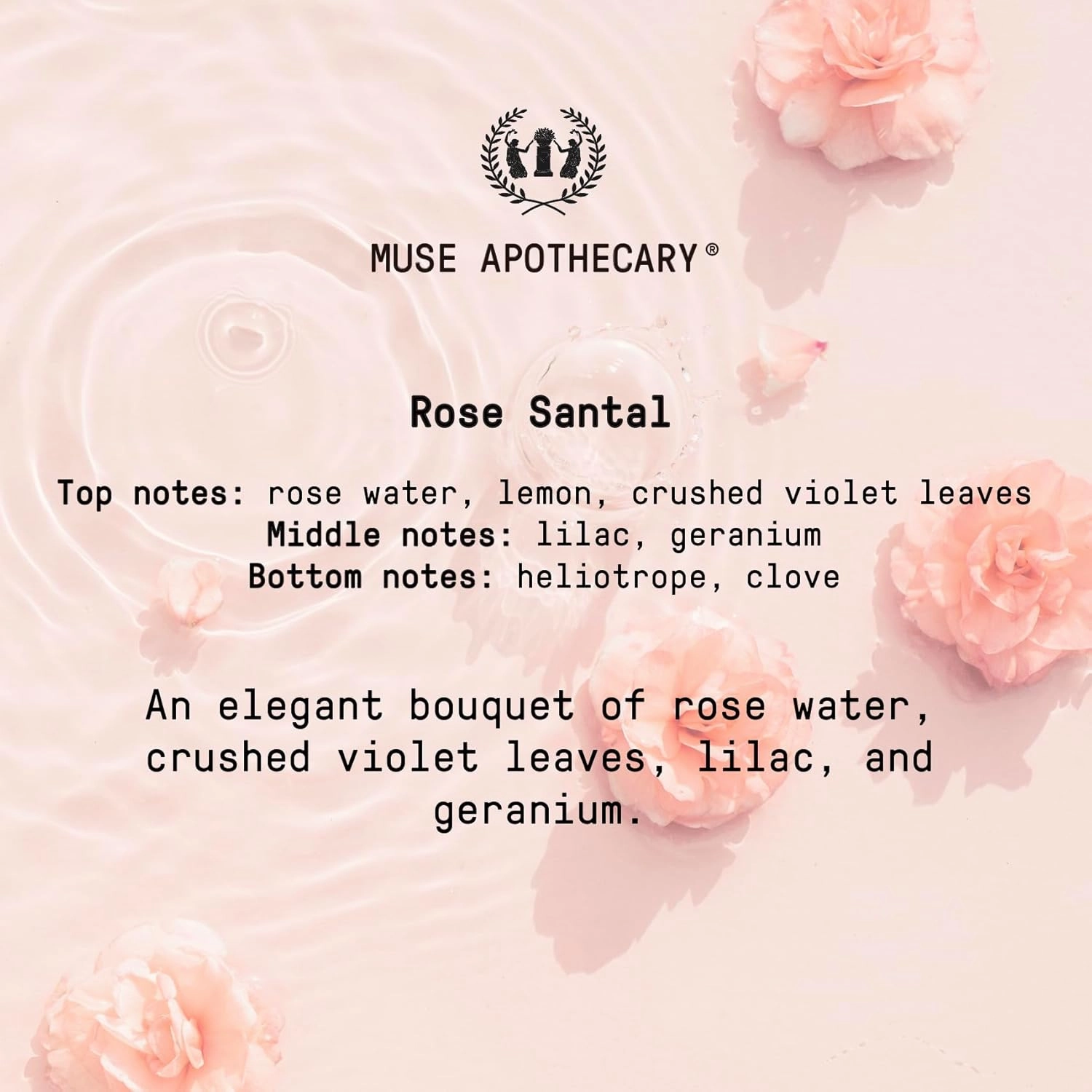 Muse Apothecary Body Ritual Hydrating - Rose Santal Body Wash for Women & Men - Essential Oil Infused Aromatherapy Body Wash - 32 Ounce, 2 Pack