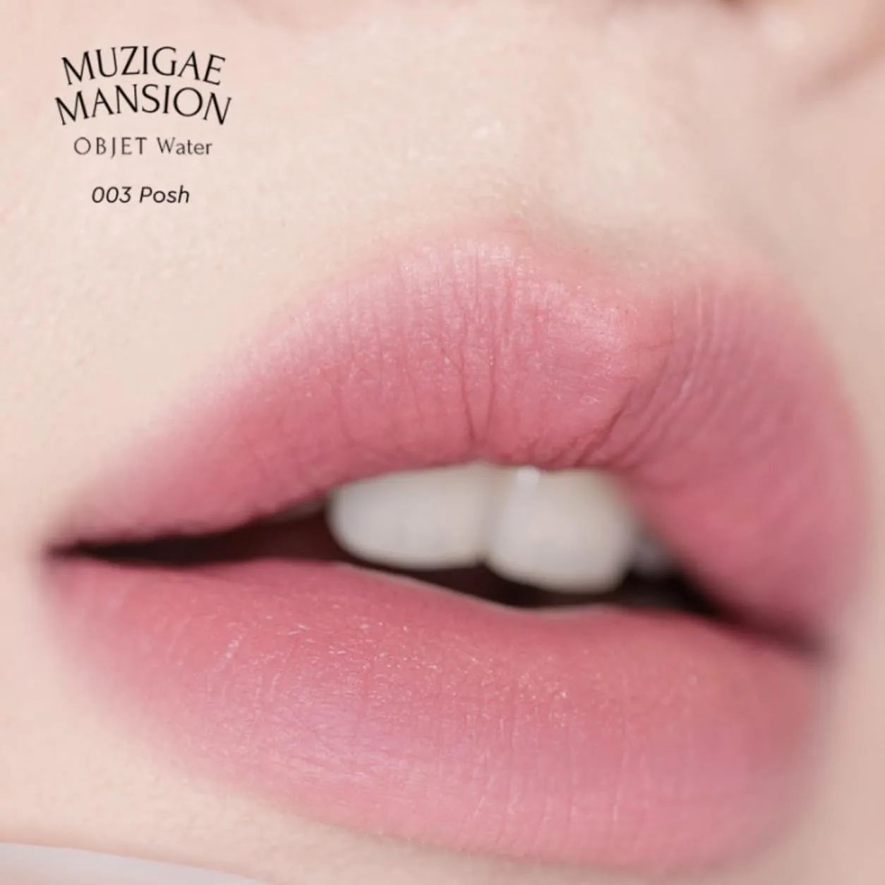 Objet Water Lip Stain Matte Lipstick – (Watery to Blurry Tint), Long-Lasting, Hydrating, Waterproof Wear – K-Beauty Liquid Lipstick for Women, Bold Red Tinted Gloss (003 POSH)