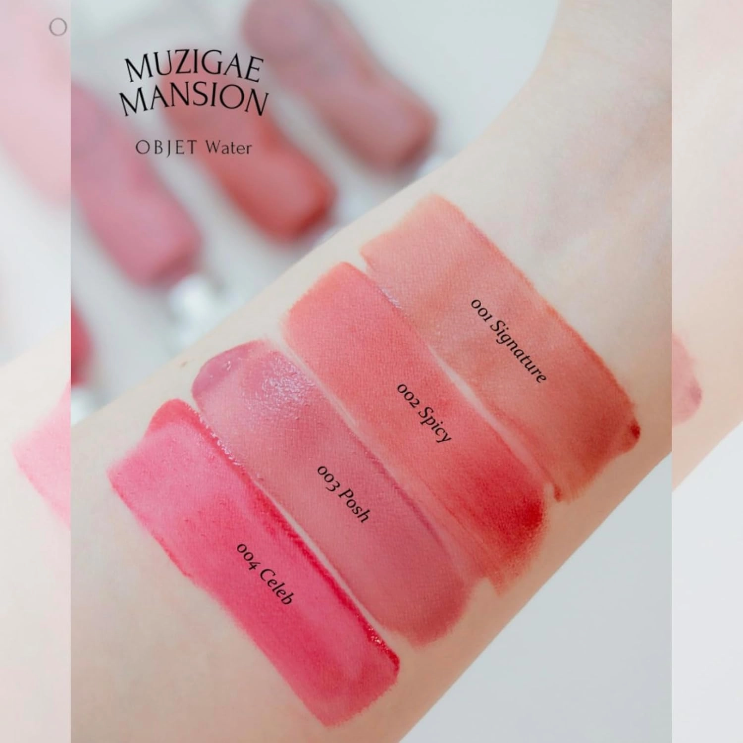 Objet Water Lip Stain Matte Lipstick – (Watery to Blurry Tint), Long-Lasting, Hydrating, Waterproof Wear – K-Beauty Liquid Lipstick for Women, Bold Red Tinted Gloss (008 PITCH)