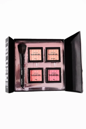 Profusion blush boutique rosette palette with a blush brush and 4 blushes