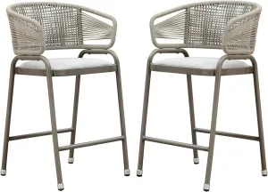 PURPLE LEAF Outdoor 26 Inch Rattan Counter Height Bar Stools Set of 2 Modern Patio Metal Wicker Aluminum Woven Counter Bar Chairs with Wraparound Back with Armrest for Kitchen Garden Indoor Champagne