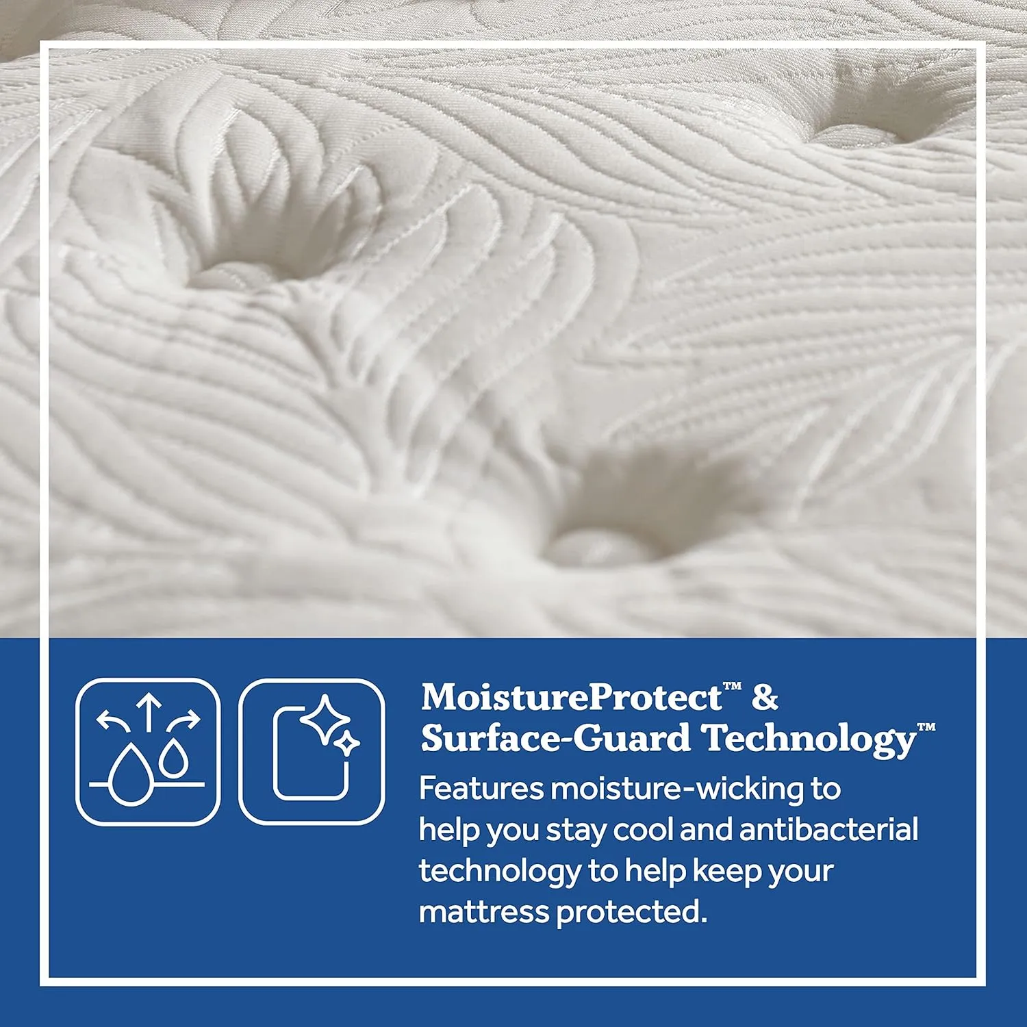 Sealy Posturepedic Spring Summer Rose Euro Pillowtop Soft Feel Mattress, Twin