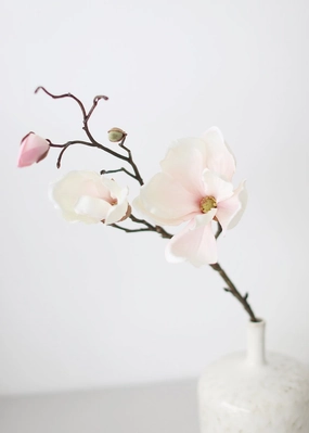 Silk Magnolia Branch in Blush Pink - 19"