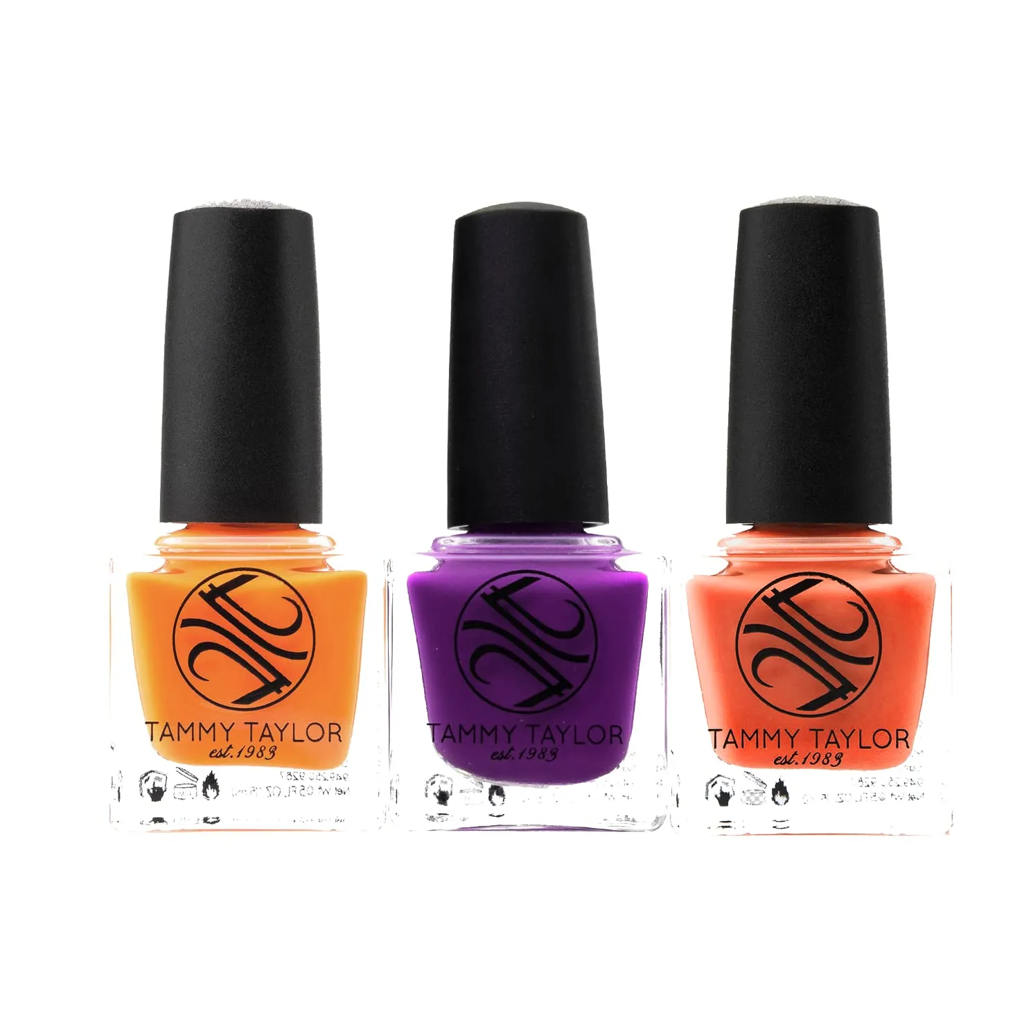 Tammy Taylor Abstract Summer | ENTIRE Collection Bundle