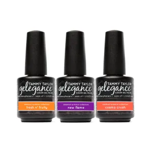 Tammy Taylor Abstract Summer | ENTIRE Collection Bundle