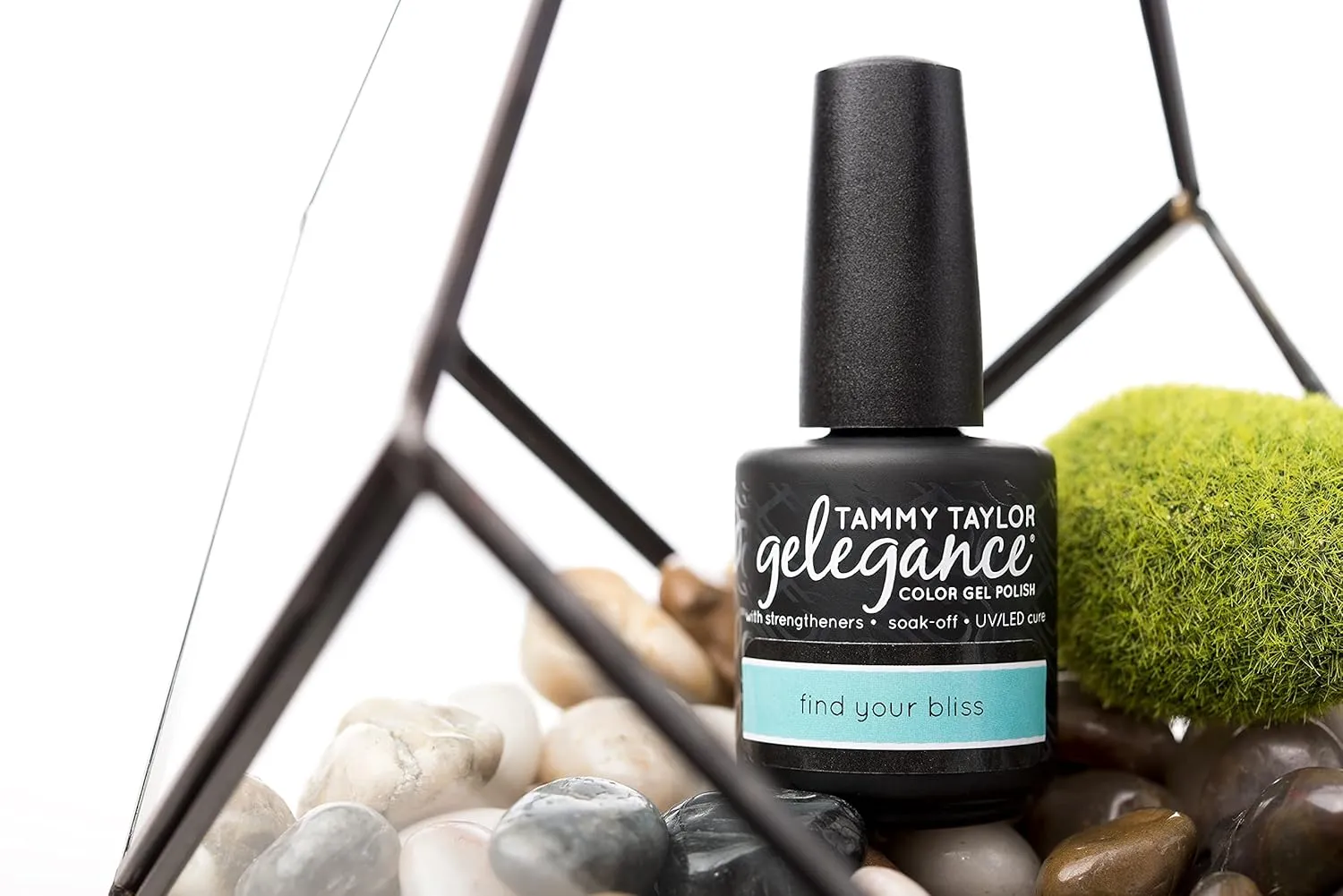 Tammy Taylor Born to Wander | Gelegance Gel Polish Bundle