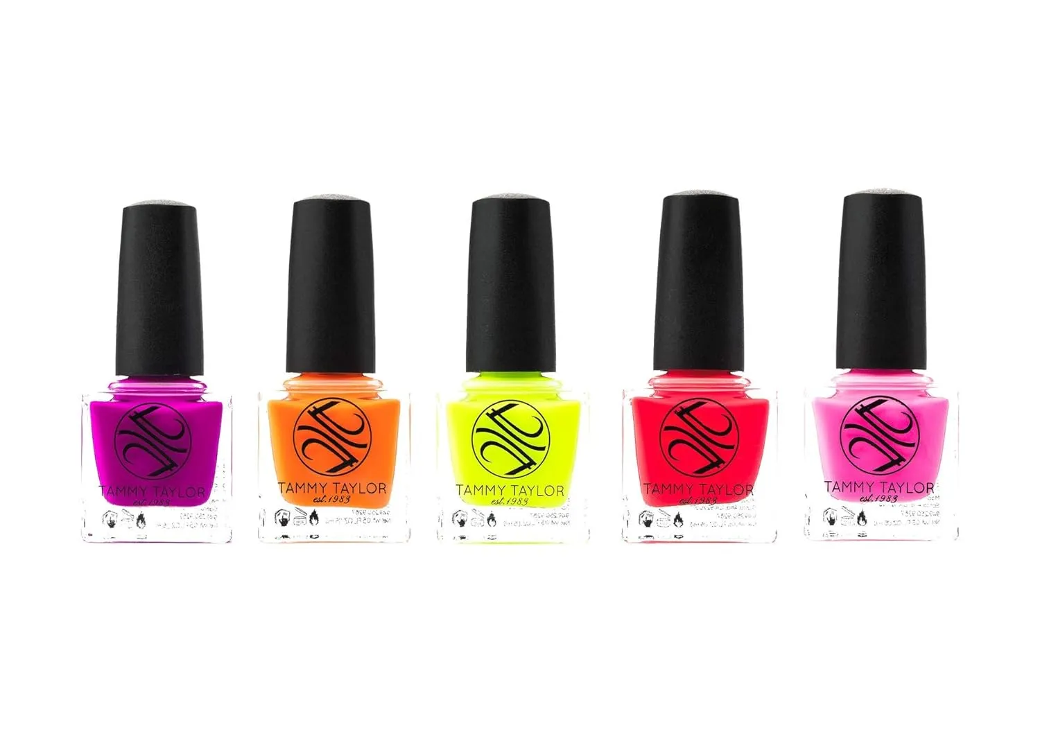 Tammy Taylor I Dream in Neon | Entire Collection Bundle